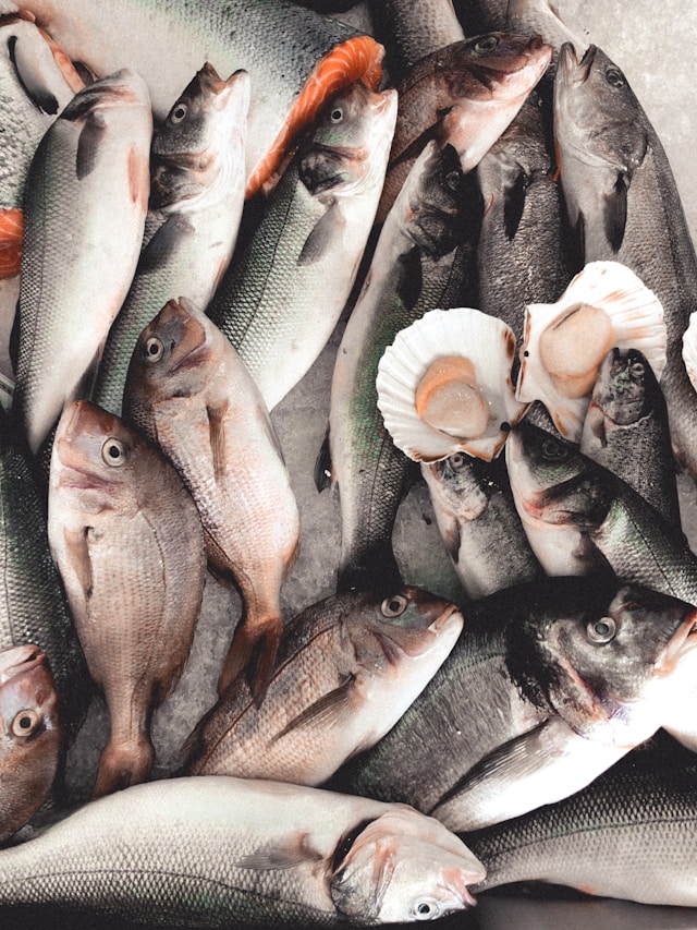 Fresh fish on ice at market