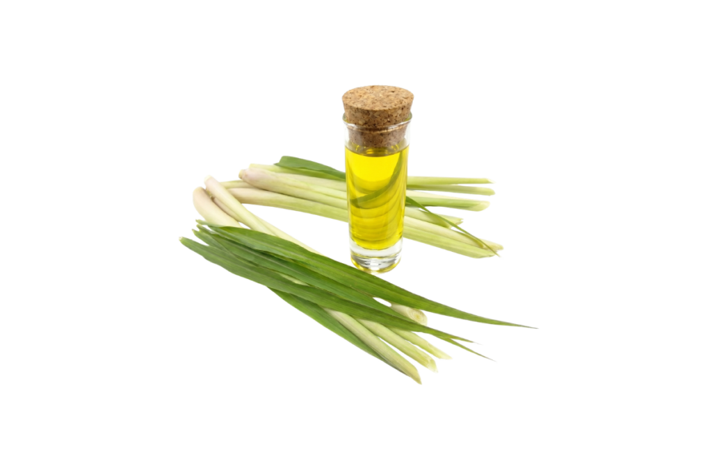 Citronella Oil