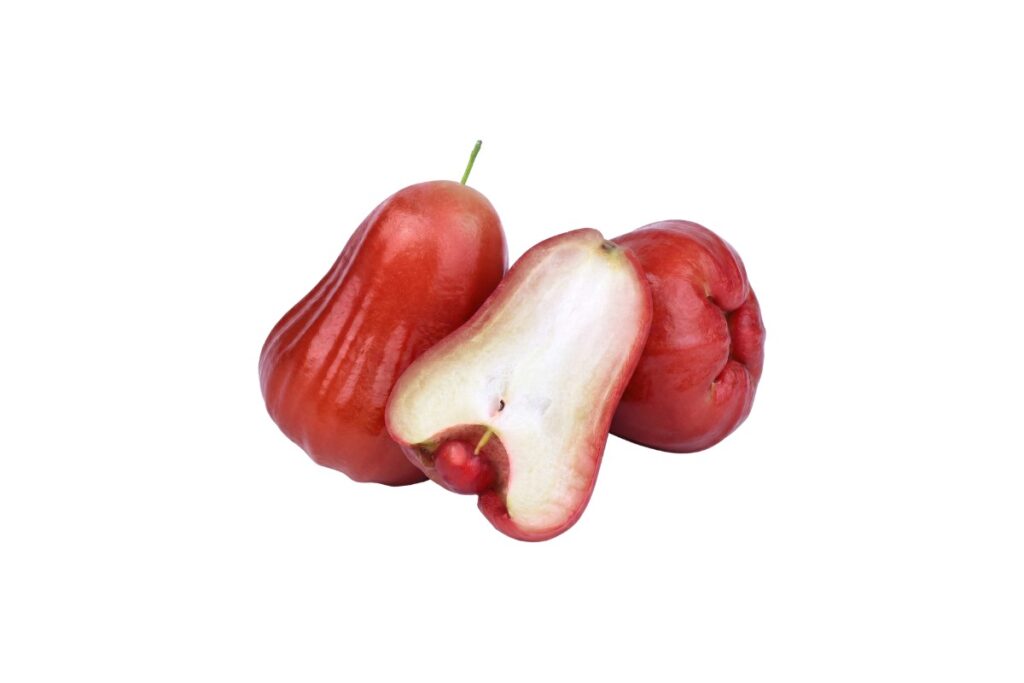 Rose Apple