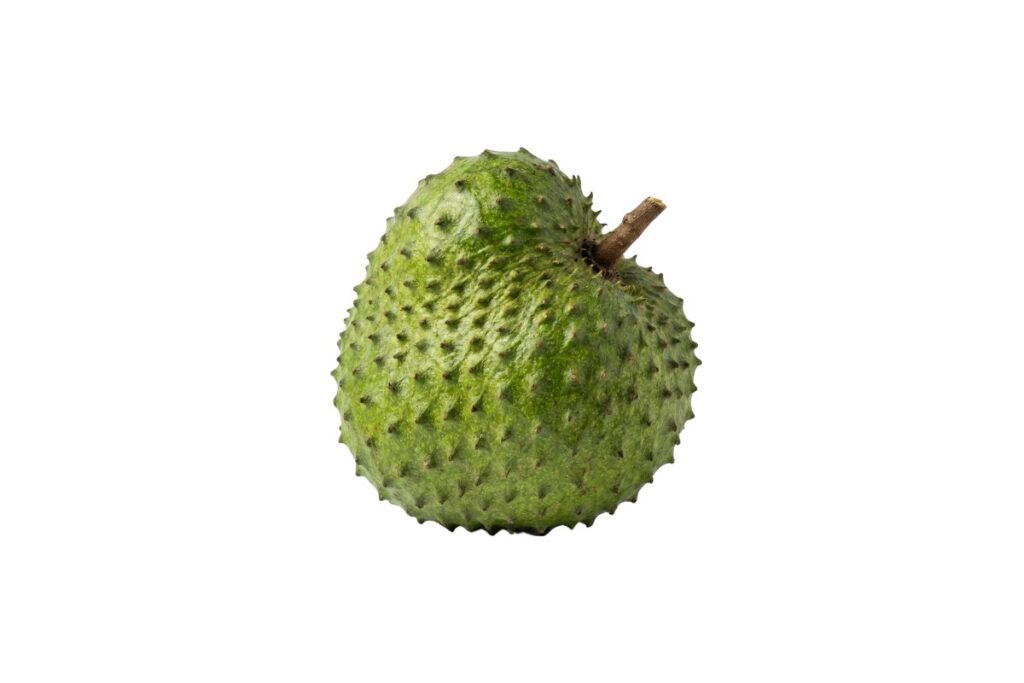Soursop (Anoda)