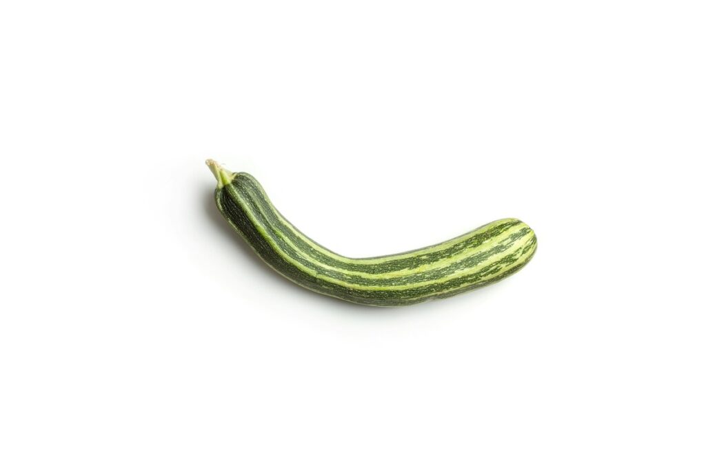 Snake Gourd