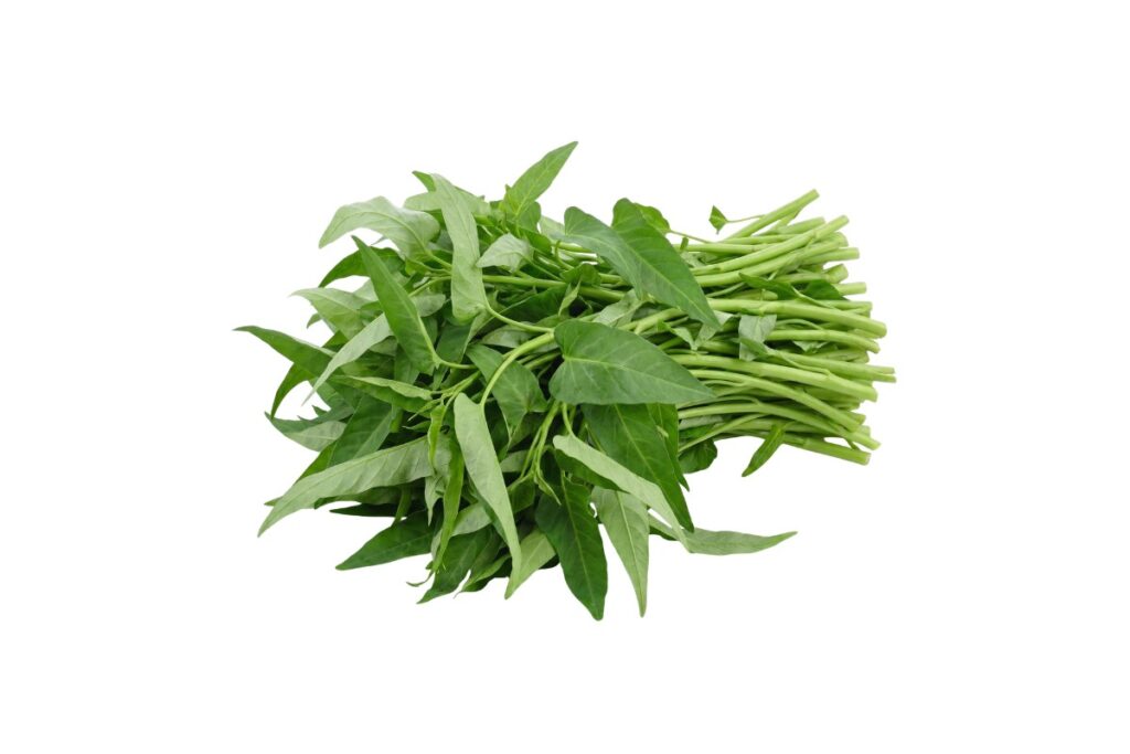 Kankun Leaves