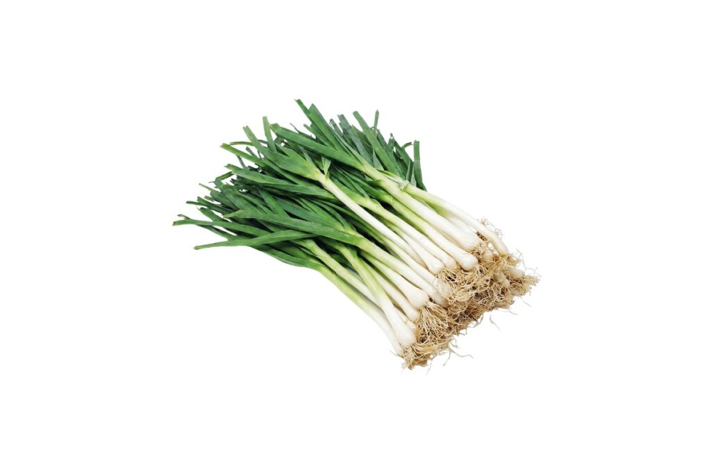Leek
