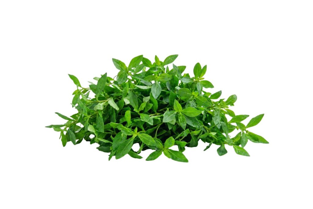 Mukunuanne Leaves